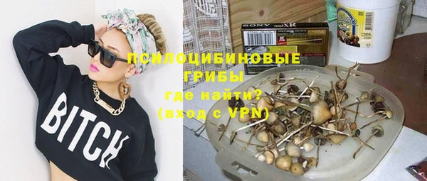 шишки Абинск